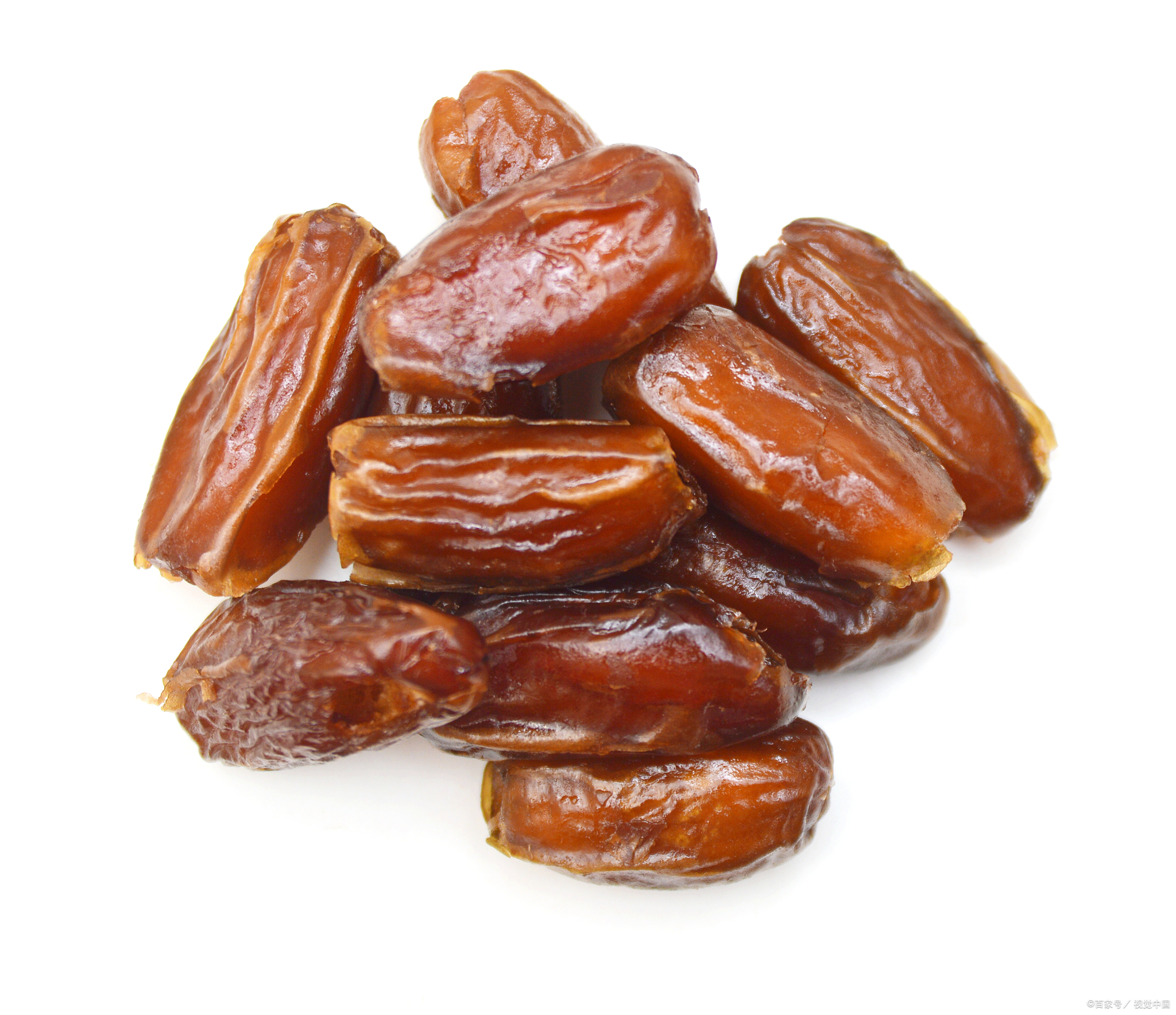 Date palm 03 Date palm 03