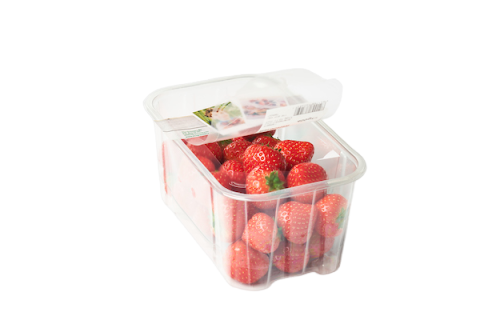 fruit ready meal