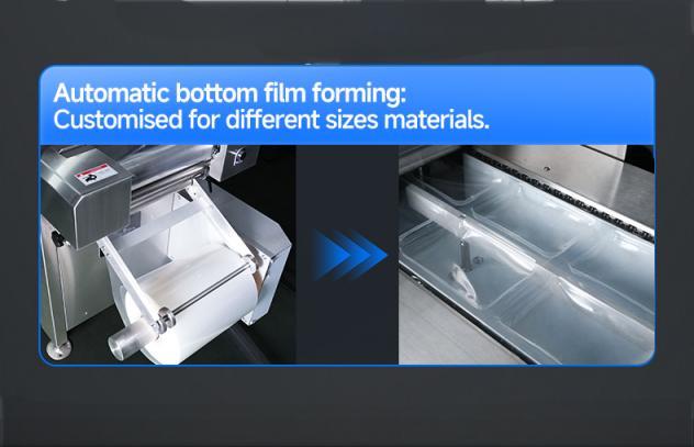 HVR-320A(Q) Hualian thermoforming packaging machine for food packaging