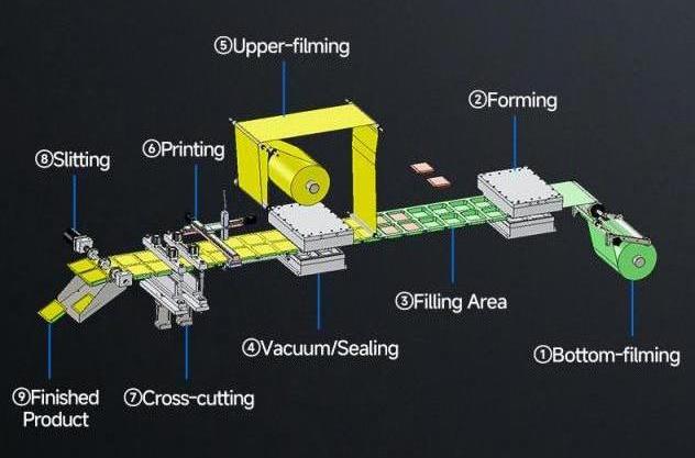 Automatic thermoforming packaging machine