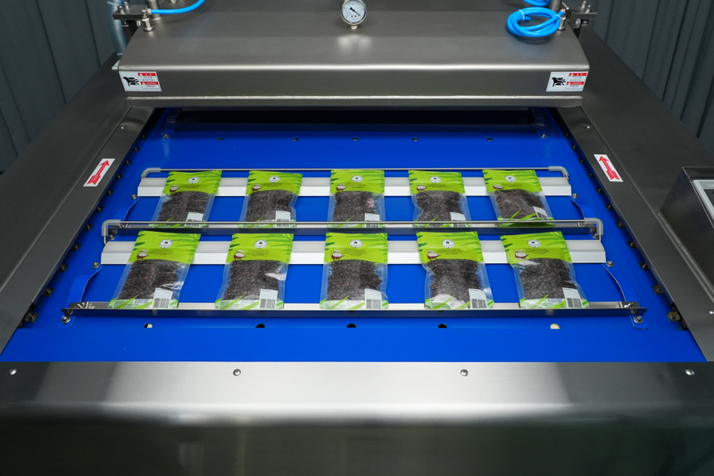 continuous vacuum packaging machine