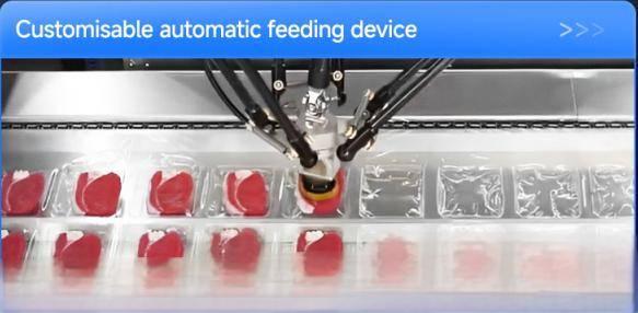 thermoforming packaging machine with Feeding device
