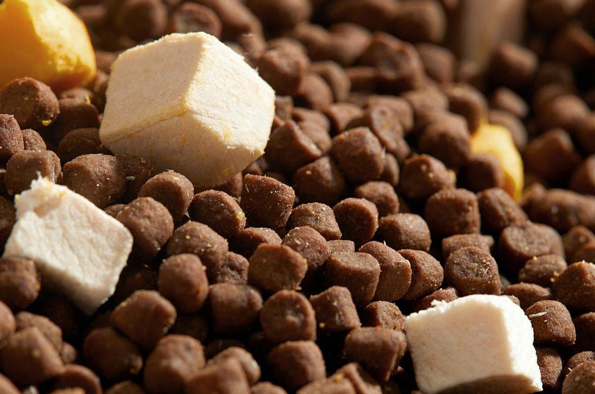 Feed Food宠物食品