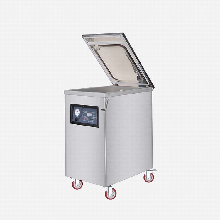 Plastic Bag Commercial Grade Vacuum Sealer for Large Items DZ-400DC from  China Supplier - Hualian Machinery Group