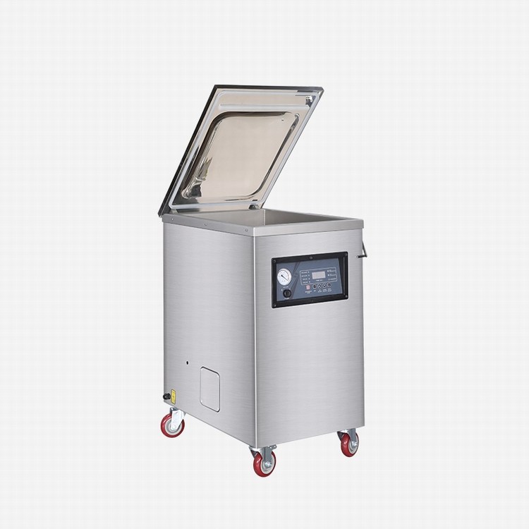 Plastic Bag Commercial Grade Vacuum Sealer for Large Items DZ-400DC from  China Supplier - Hualian Machinery Group