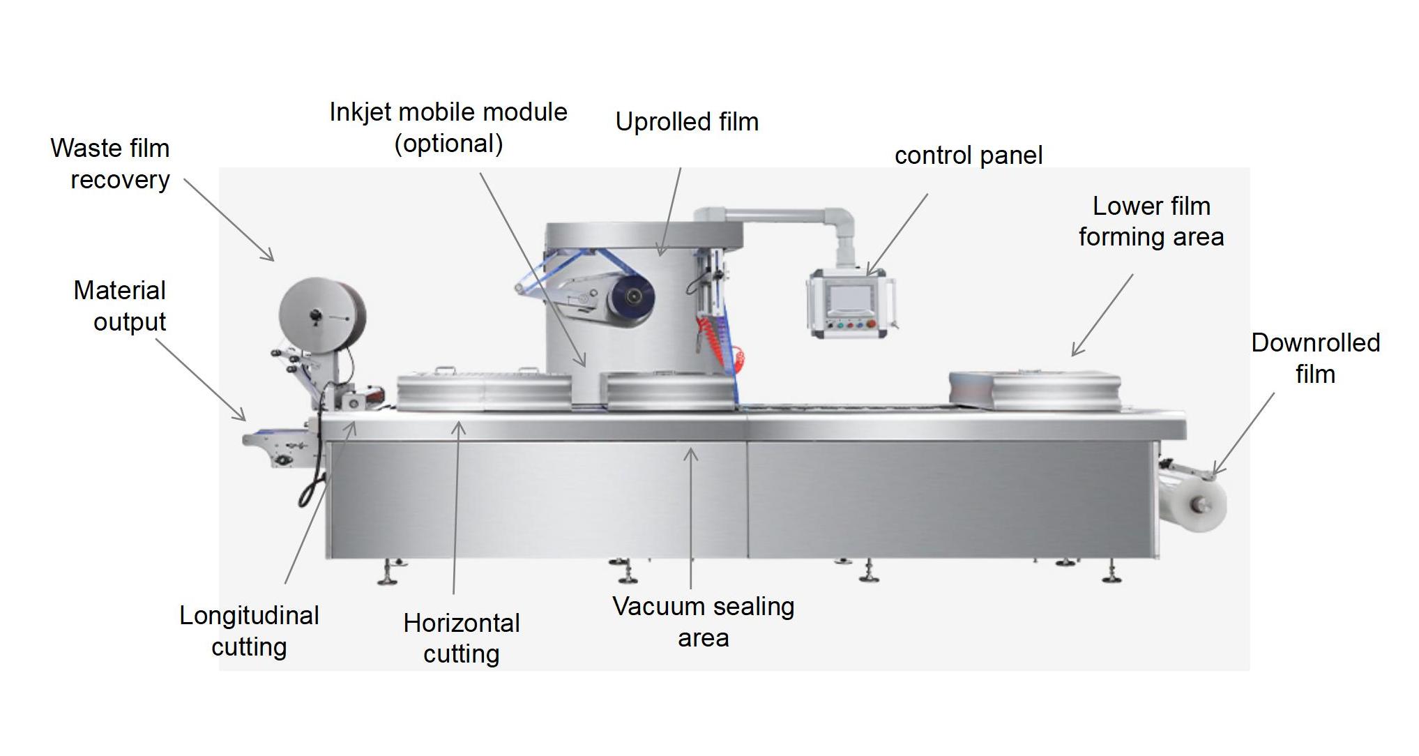 thermoforming packaging machine details