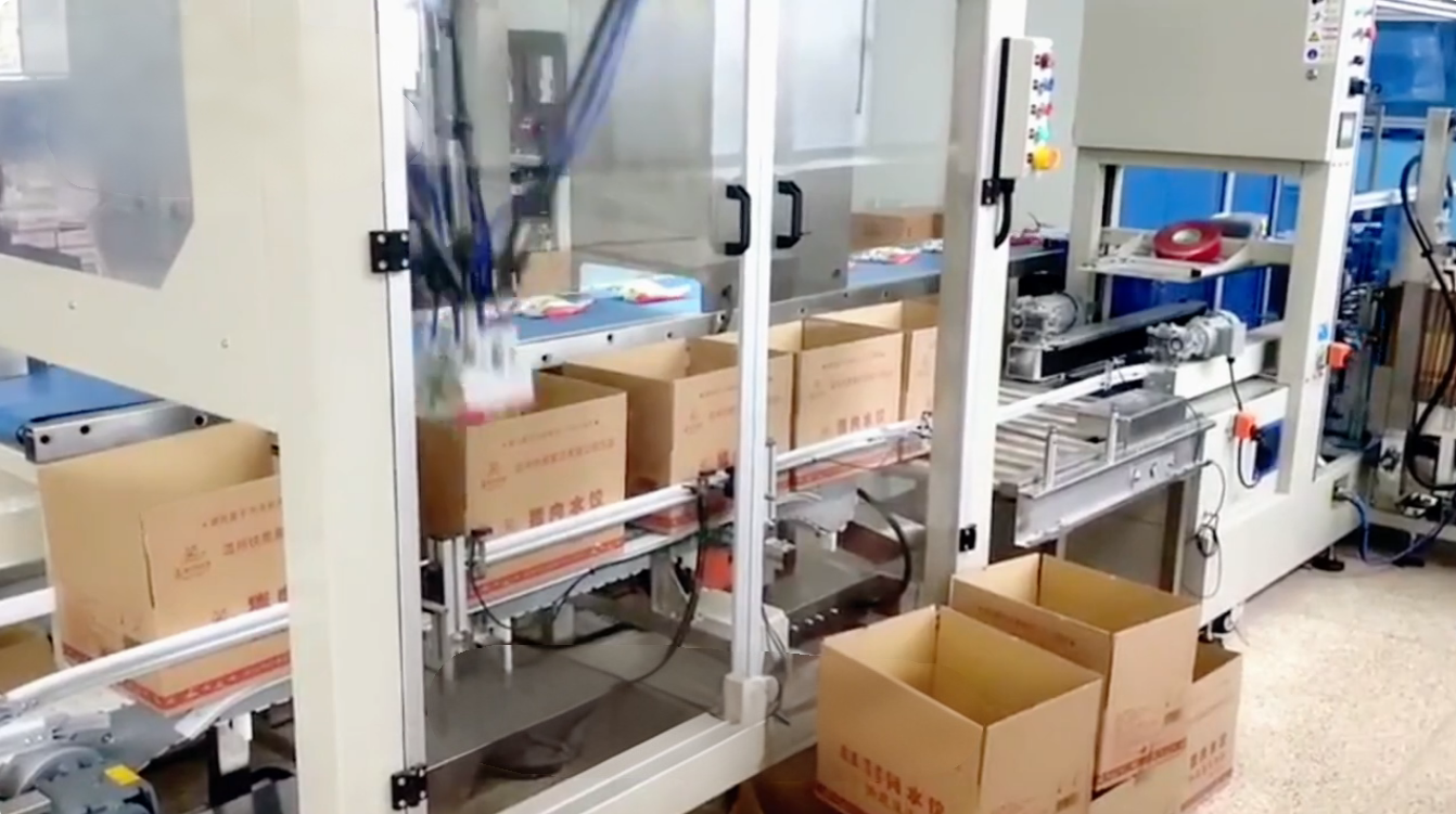 carton packaging line for food industry