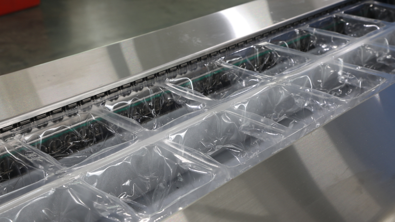 Vacuum Thermoforming Packaging Machine details