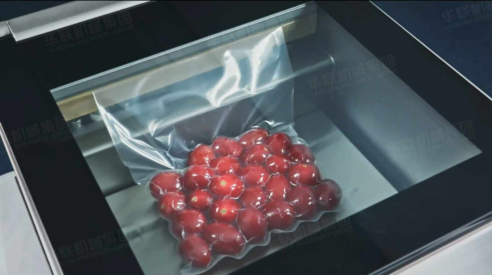 vacuum packaging machine for fruit.png