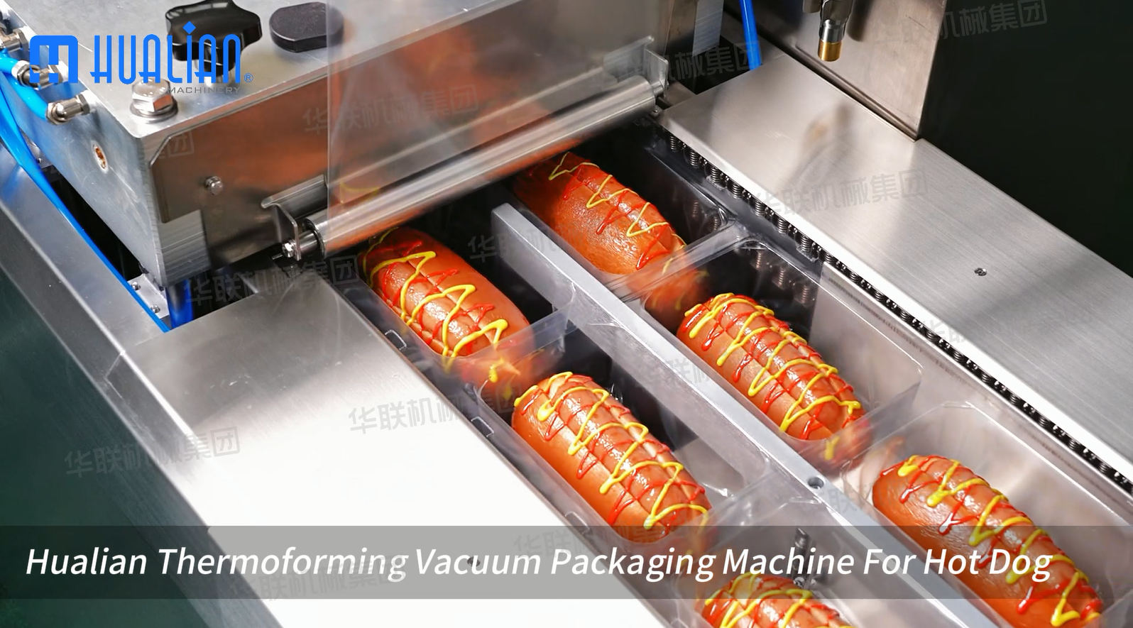 thermoforming packaging machine for hot dog.png
