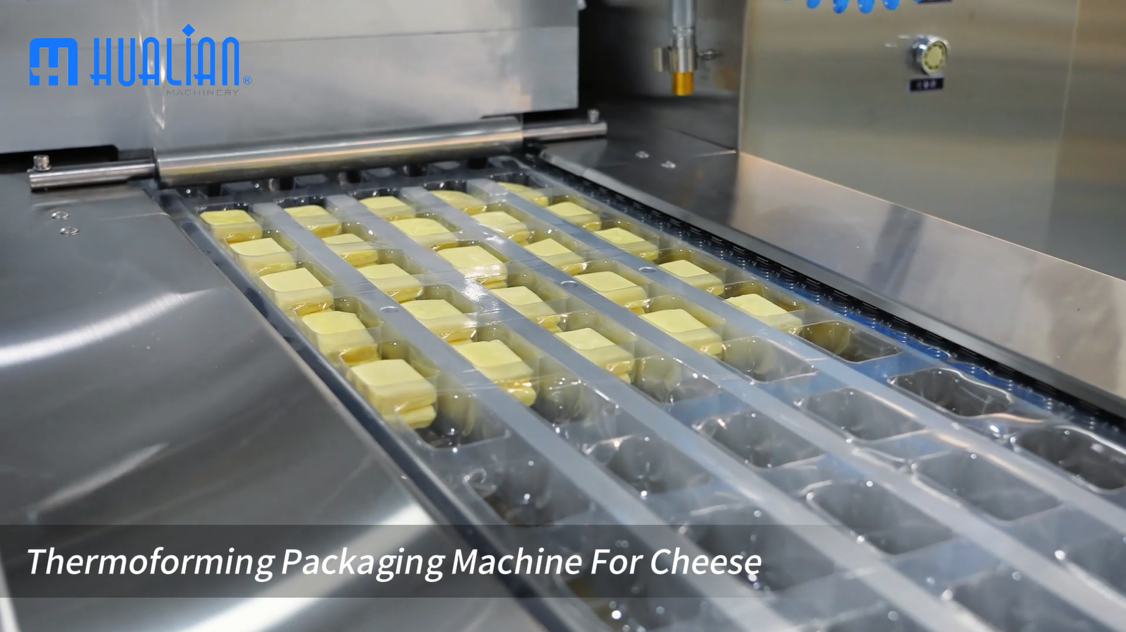 thermoforming packaging machine for cheese.png