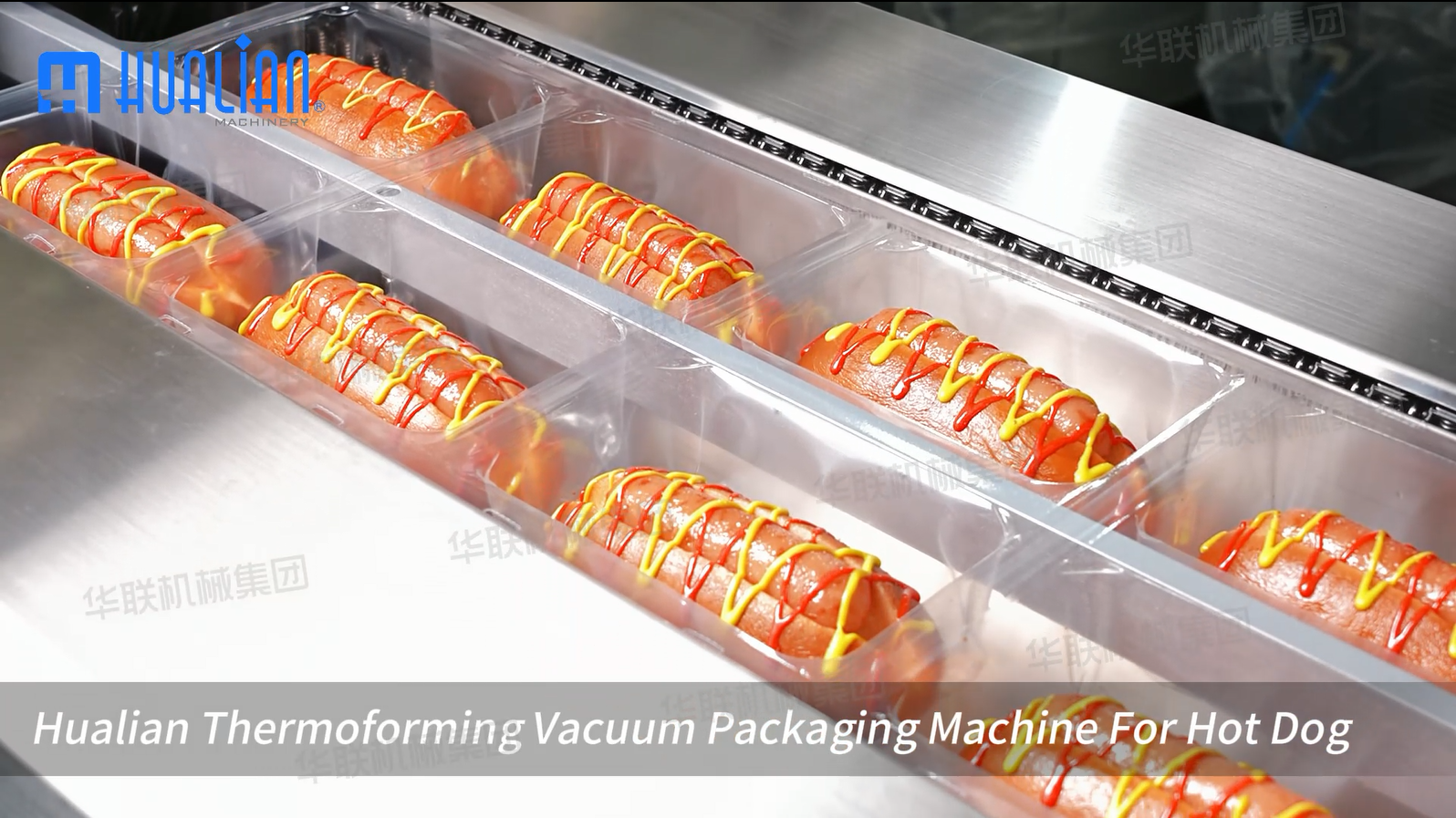 thermoforming packaging machine for hot dog.png