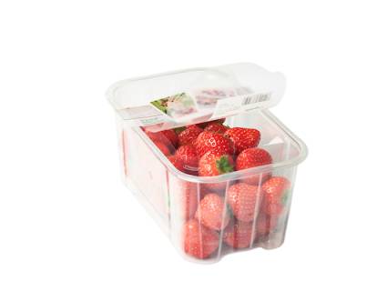 1. MAP for fruit
