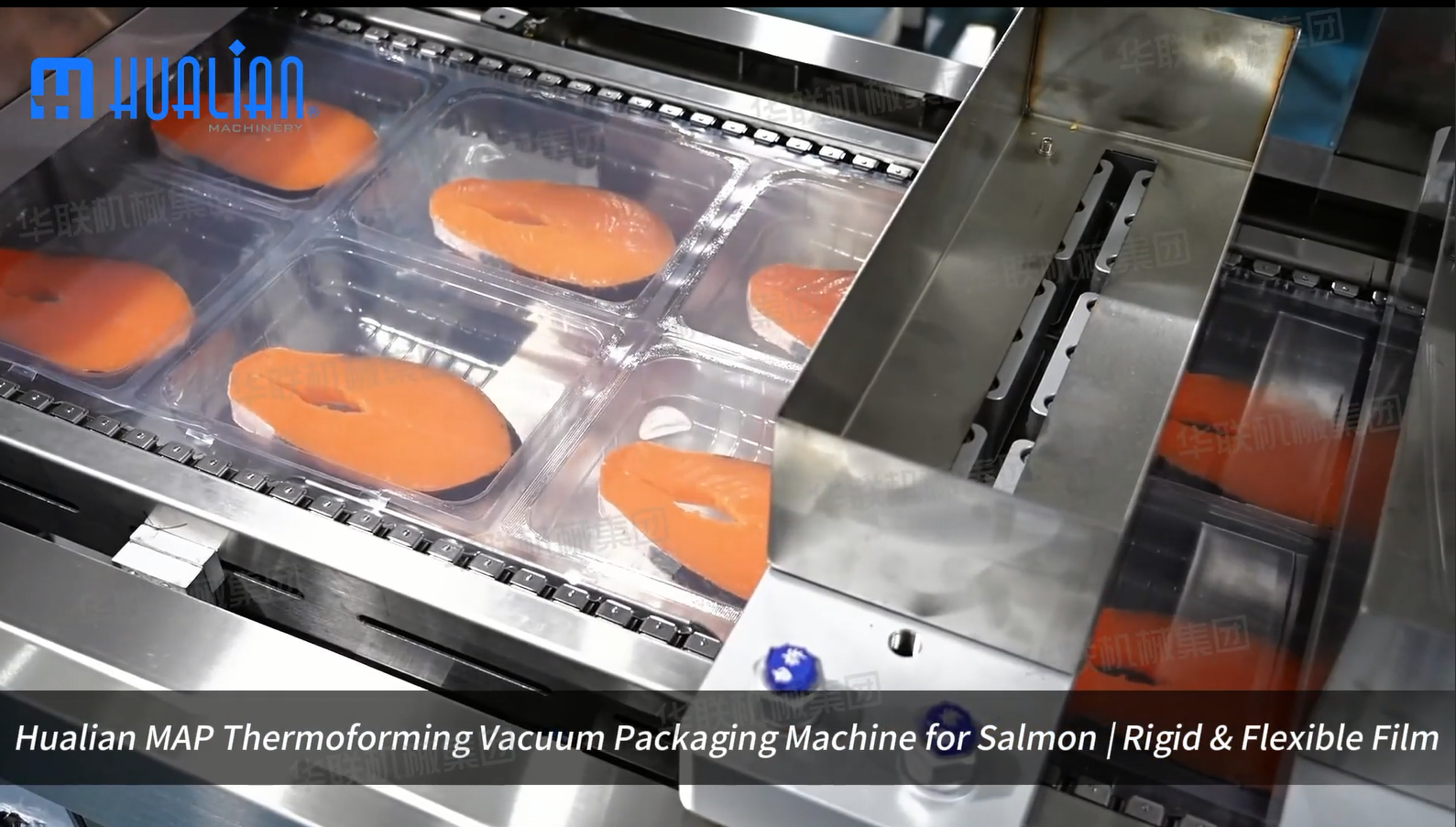 thermoforming packaging machine for salmon.png