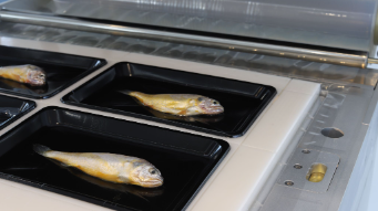 vacuum skin packaging applications